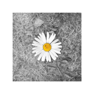 厨房扶着岳翘臀挺进l
