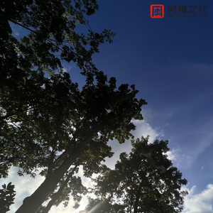 厨房扶着岳翘臀挺进l
